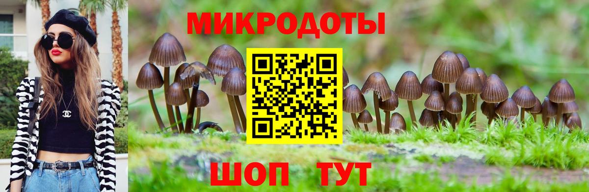 Псилоцибиновые грибы прущие грибы Усть-Джегута